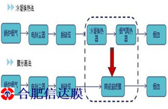 QQ截图20211206111213_副本