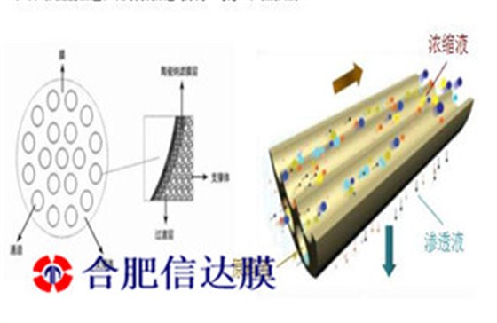 QQ截图20221208115624_副本