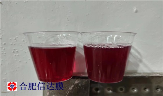 图片12_副本