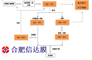 圖片1_副本_副本