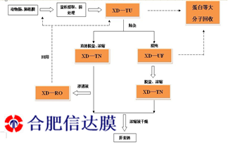 图片1_副本_副本