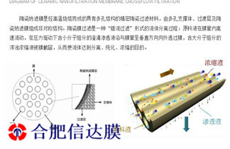 QQ截图20220802135150_副本